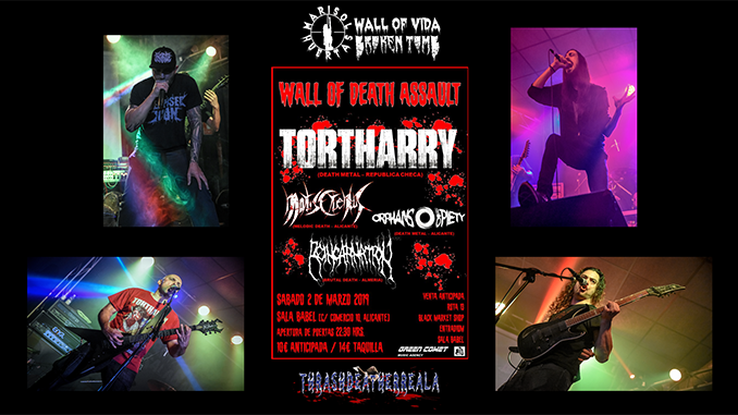 Tortharry Alicante Broken