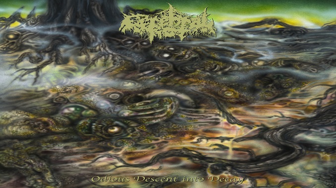 cover Cerebral Rot - Odious Descent into Decay