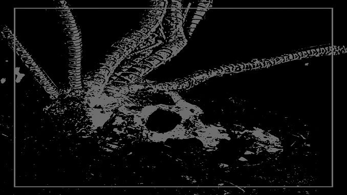 cover Pathogens - Soiled Cogs Forever Grinding