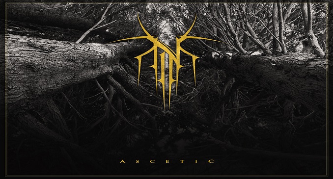 norse cover art
