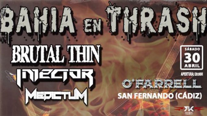 Bahia en Thrash BrokenTomb