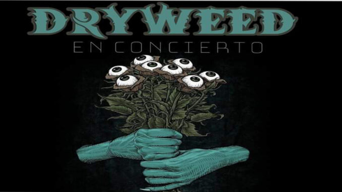 Dryweed 2022 Sevilla BrokenTomb