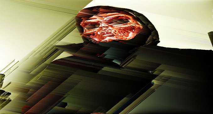 udols portada