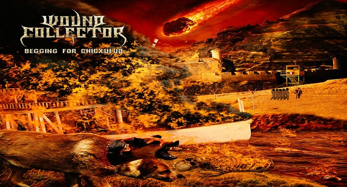wound collector cover