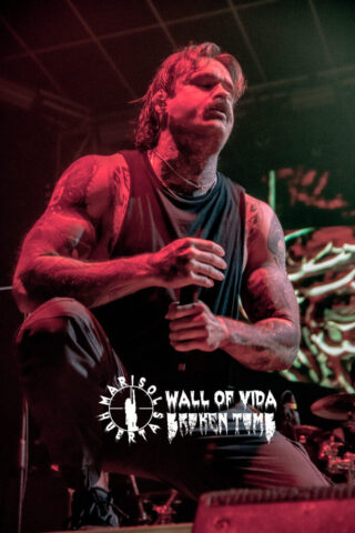 82. Ingested_DSC_4629